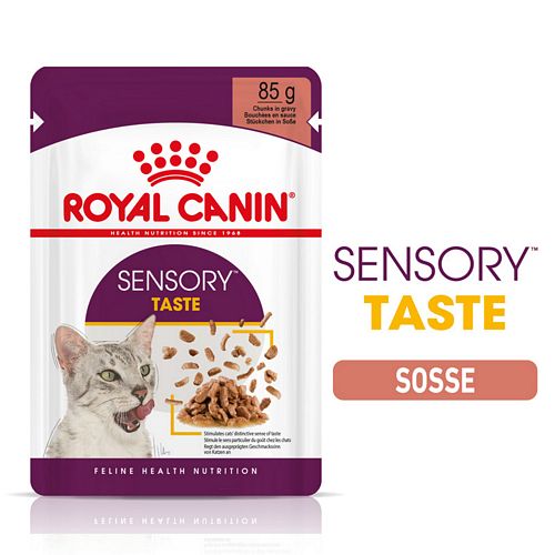 Royal Canin SENSORY Taste Nassfutter in Soße für wählerische Katzen 12 x 85 g