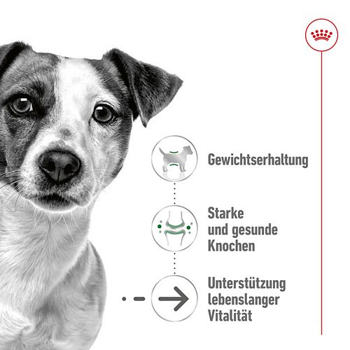 Royal Canin MINI Ageing 12+ Trockenfutter für ältere kleine Hunde 800g