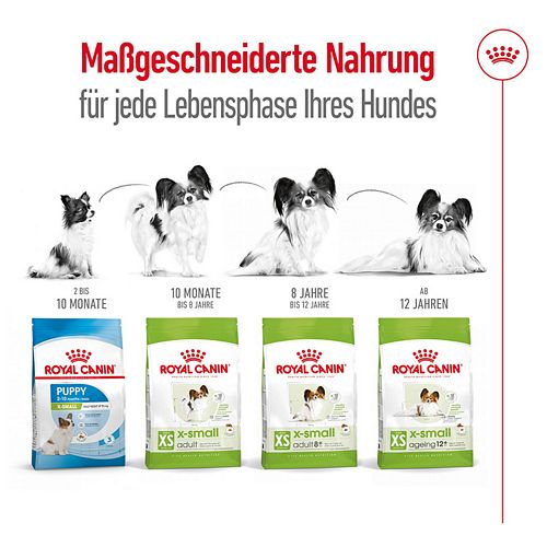 Royal Canin X-SMALL Adult Trockenfutter für sehr kleine Hunde 500g