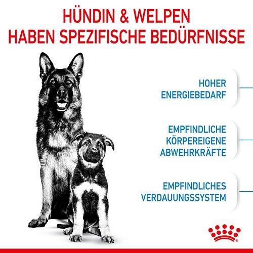 Royal Canin MAXI Starter für tragende Hündin und Welpen großer Rassen 15 kg