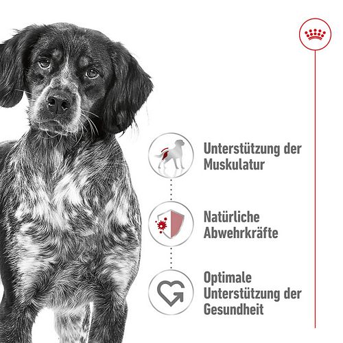 Royal Canin MEDIUM Adult Trockenfutter für mittelgroße Hunde 4kg