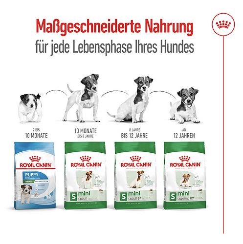 Royal Canin MINI Adult 8+ Trockenfutter für ältere kleine Hunde 800g