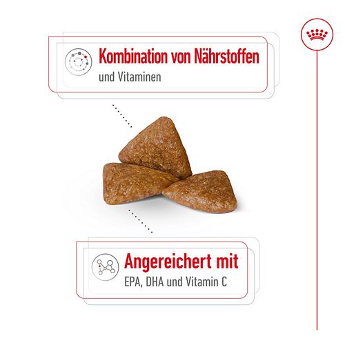 Royal Canin X-SMALL Ageing 12+ Trockenfutter für ältere sehr kleine Hunde 1,5kg