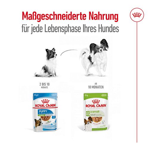 Royal Canin X-SMALL ADULT - Nassfutter für sehr kleine Hunde - 12 x 85 g