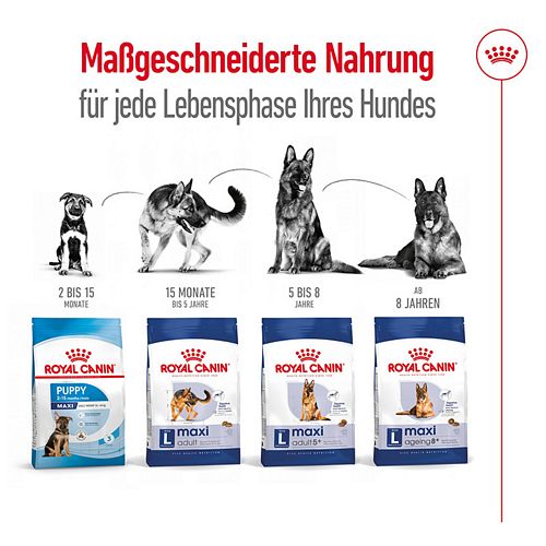 Royal Canin MAXI Adult 5+ Trockenfutter für ältere große Hunde 4kg