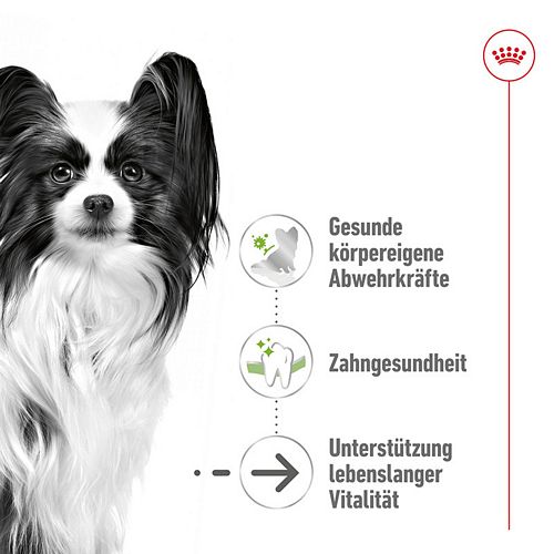 Royal Canin X-SMALL Adult 8+ Trockenfutter für sehr kleine Hunde 500g