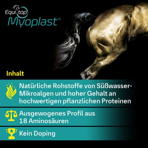 Boehringer Ingelheim Equitop Myoplast 1,5kg Perlgranulat