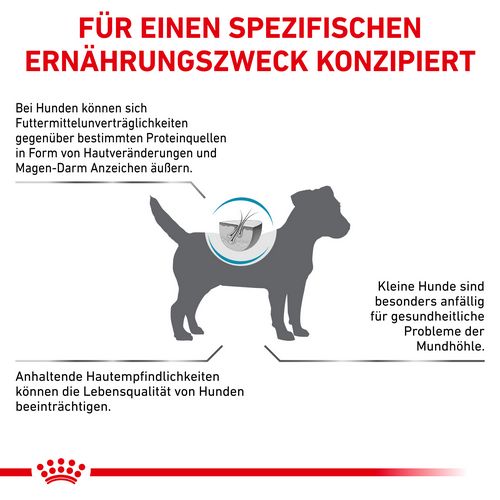 ROYAL CANIN  Veterinary ANALLERGENIC SMALL DOG Trockenfutter für kleine Hunde 1,5 kg