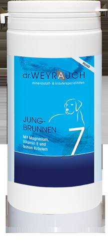 Dr. Weyrauch - Nr. 7 Jungbrunnen - 60 Kapseln