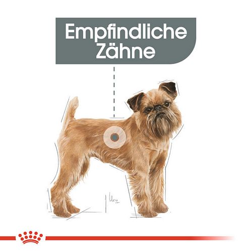 Royal Canin DENTAL CARE MINI Trockenfutter für kleine Hunde mit empfindlichen Zähnen