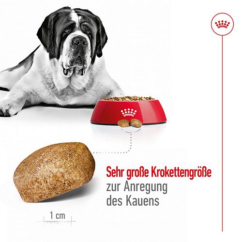 Royal Canin GIANT Adult Trockenfutter für sehr große Hunde 15kg