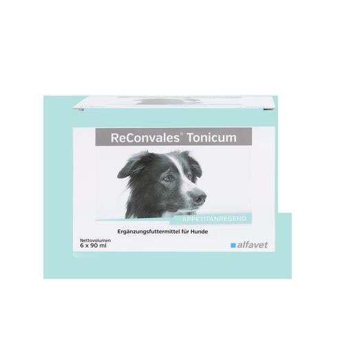 alfavet ReConvales Tonicum - HUND - VOLLE VE - 6 x 90 ml