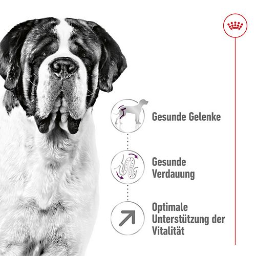 Royal Canin GIANT Adult Trockenfutter für sehr große Hunde 15kg