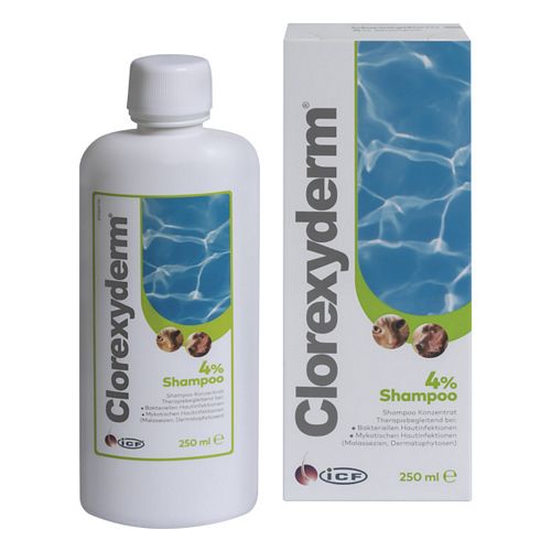 iCF Clorexyderm Shampoo 4% für Hunde und Katzen - 250 ml 