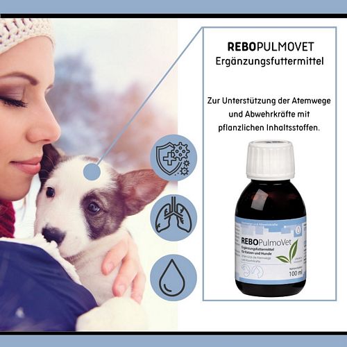 reboVet - REBO-PULMO-Vet - 100 ml