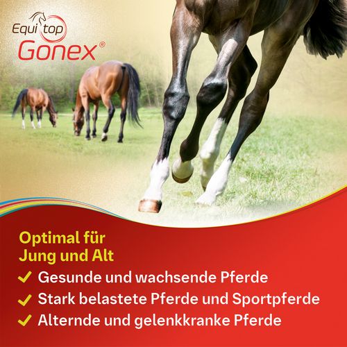 Equitop Gonex Perlgranulat von Boehringer Ingelheim 750g