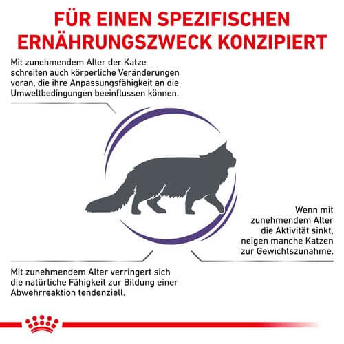 Royal Canin Expert MATURE CONSULT BALANCE Trockenfutter für Katzen