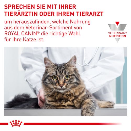 Royal Canin Expert MATURE CONSULT BALANCE Mousse Nassfutter für Katzen