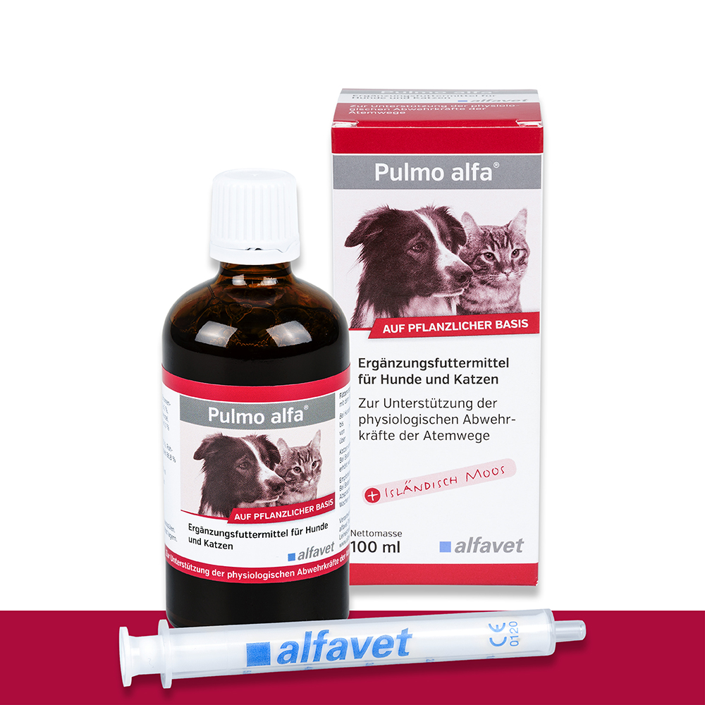 alfavet - PULMO ALFA - Atemwege - 100 ml