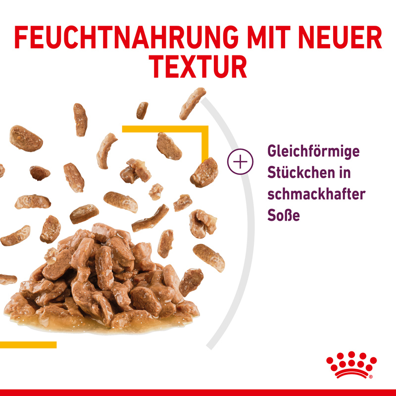 Royal Canin SENSORY Taste Nassfutter in Soße für wählerische Katzen 12 x 85 g