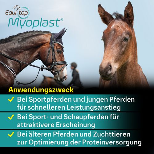 Boehringer Ingelheim Equitop Myoplast 1,5kg Perlgranulat