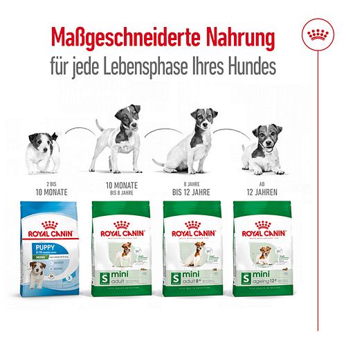 Royal Canin MINI Ageing 12+ Trockenfutter für ältere kleine Hunde 800g