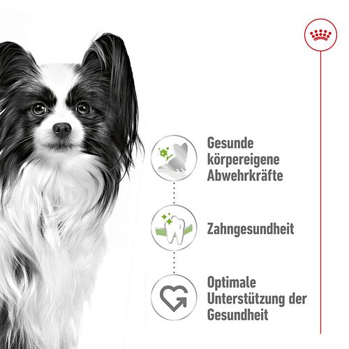 Royal Canin X-SMALL Ageing 12+ Trockenfutter für ältere sehr kleine Hunde 1,5kg