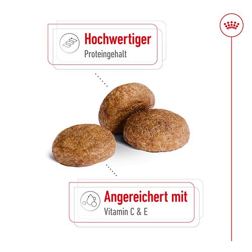 Royal Canin MEDIUM Adult 7+ Trockenfutter für ältere mittelgroße Hunde 10kg