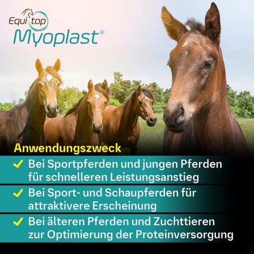 Boehringer Ingelheim Equitop Myoplast 1,5kg Perlgranulat