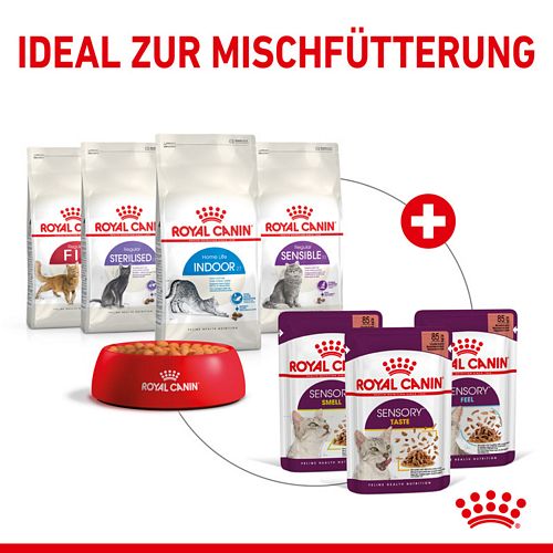 Royal Canin SENSORY Taste Nassfutter in Soße für wählerische Katzen 12 x 85 g