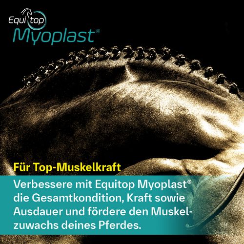 Boehringer Ingelheim Equitop Myoplast 1,5kg Perlgranulat