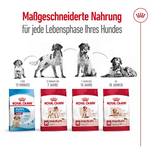 Royal Canin MEDIUM Adult Trockenfutter für mittelgroße Hunde 10kg