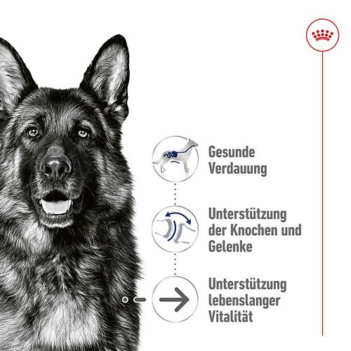 Royal Canin MAXI AGEING 12+ - Nassfutter für ausgewachsene große Hunde - 12 x 410 g