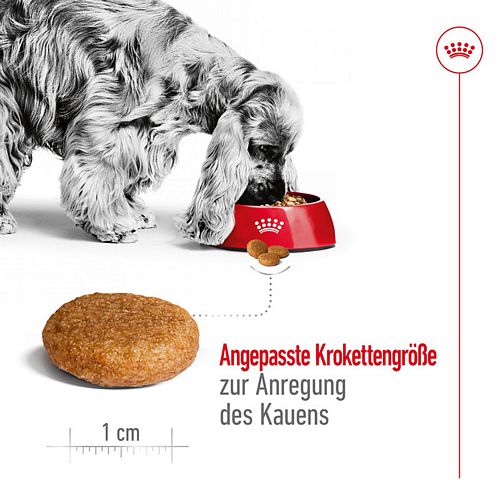 Royal Canin MEDIUM Adult Trockenfutter für mittelgroße Hunde 10kg