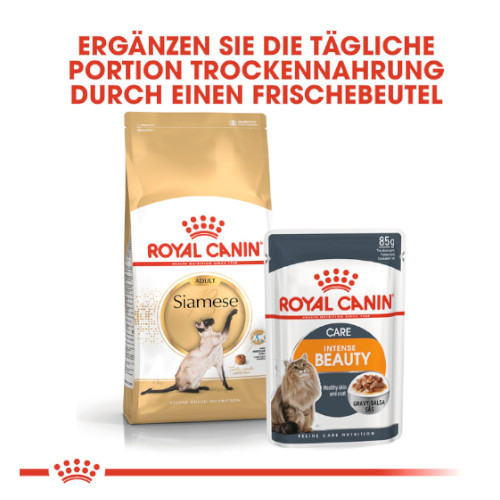 Royal Canin Siamese Adult Katzenfutter trocken