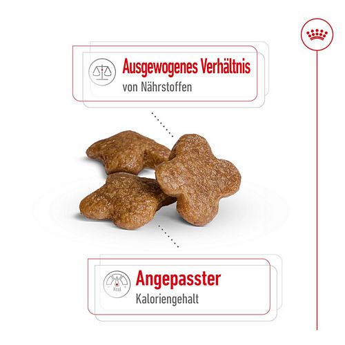 Royal Canin MINI Adult 8+ Trockenfutter für ältere kleine Hunde 8kg