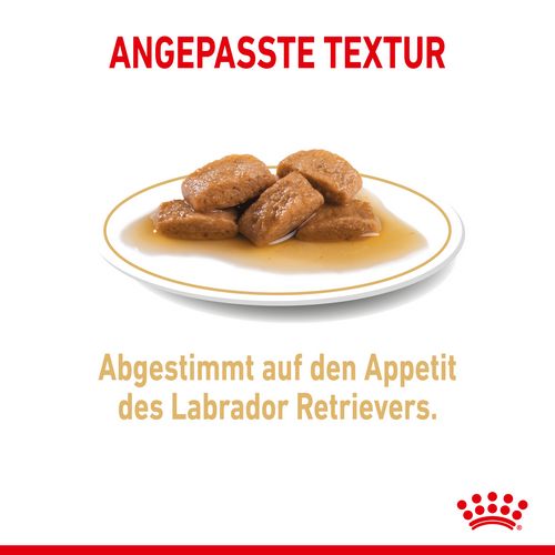 Royal Canin Labrador Retriever Adult Stückchen in Soße Nassfutter für Hunde