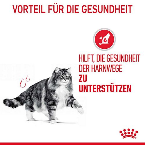 Royal Canin Urinary Care Jelly