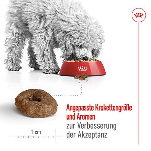 Royal Canin MINI Ageing 12+ Trockenfutter für ältere kleine Hunde 800g