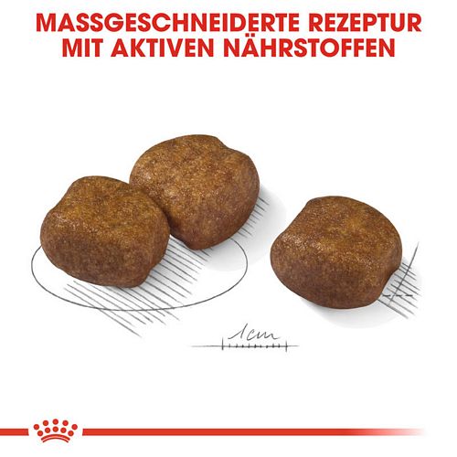 Royal Canin DENTAL CARE MAXI Trockenfutter für große Hunde mit empfindlichen Zähnen 9 kg