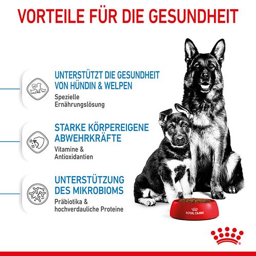 Royal Canin MAXI Starter für tragende Hündin und Welpen großer Rassen 15 kg