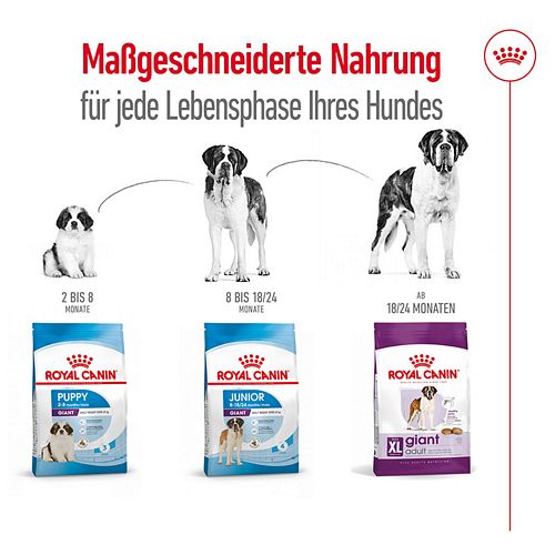 Royal Canin GIANT Adult Trockenfutter für sehr große Hunde 15kg