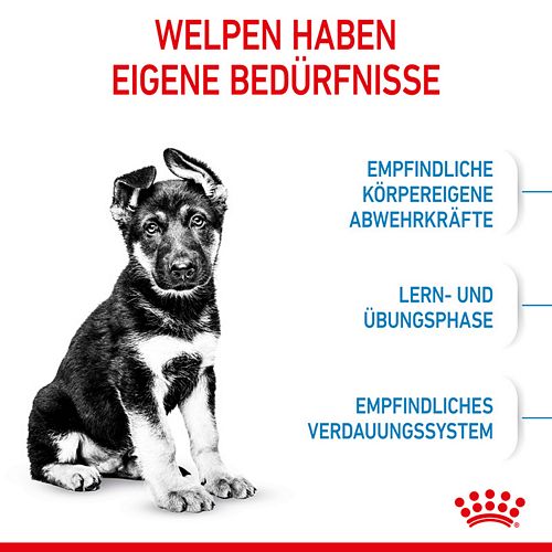 Royal Canin - MAXI PUPPY - Trockenfutter Hund - 4 kg