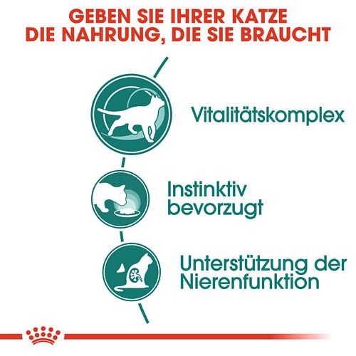 Royal Canin INSTINCTIVE 7+ Nassfutter in Soße für ältere Katzen