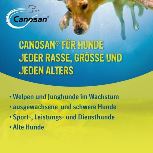 Canosan Kautabletten für Hunde zur Unterstützung der Gelenke 30 Kautabletten