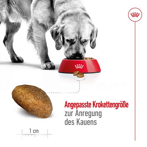 Royal Canin MAXI Adult Trockenfutter für große Hunde 4kg