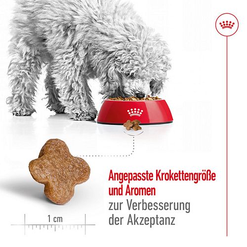 Royal Canin MINI Adult 8+ Trockenfutter für ältere kleine Hunde 8kg