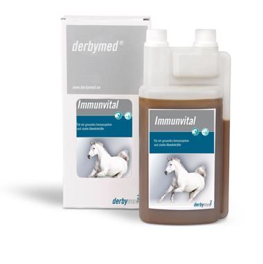 derbymed IMMUNVITAL für Pferde - 500 ml