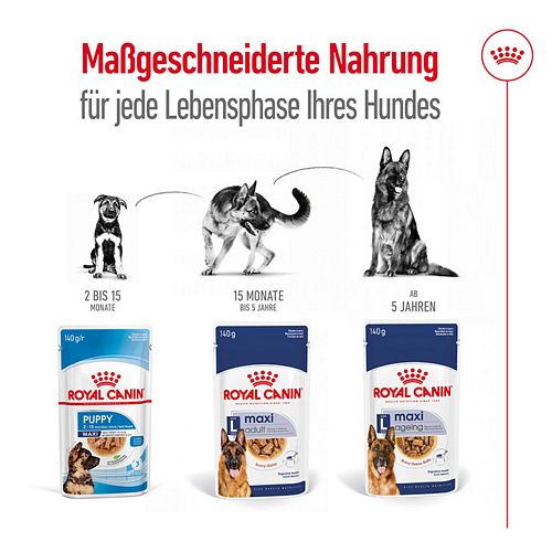 Royal Canin MAXI Ageing 8+ - Nassfutter für ältere große Hunde - VOLLE VE - 10 x 140 g