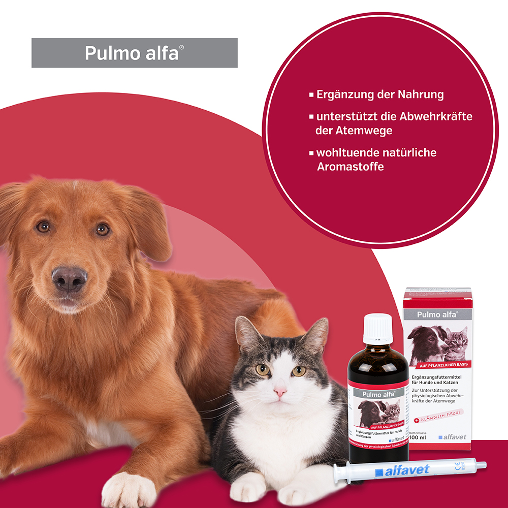 alfavet - PULMO ALFA - Atemwege - 100 ml